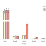 How To Make A Group Bar Graph With Error Bars And Split Y Axis