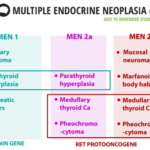 Multiple Endocrine Neoplasia Syndromes Multiple Endocrine Neoplasia