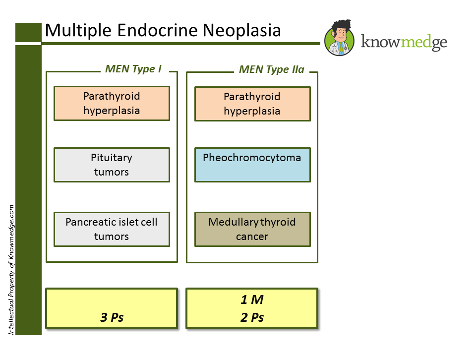 Multiple Endocrine Neoplasia Tumblr