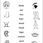Body Image Worksheets Db excel