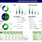 Building Dynamic Interactive Human Resource Dashboard Excel Course