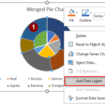 Excel 2 Pie Charts Side By Side AniqReevah