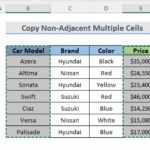 How To Copy Multiple Cells To Another Sheet In Excel 9 Methods